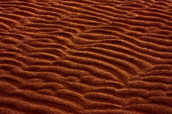 Sand Ridges Texture