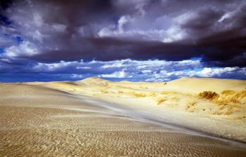 Sandy Landscape