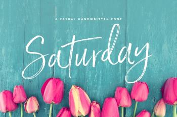Saturday Script Brush Font ~ Script Fonts ~ Creative Market