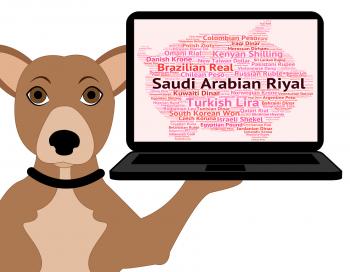Saudi Arabian Riyal Shows Foreign Currency And Coin
