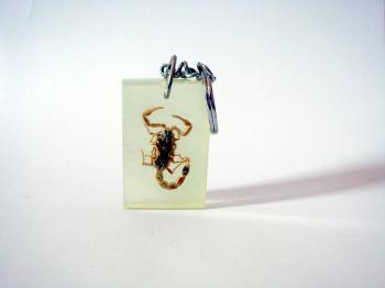 Scorpion Keyring