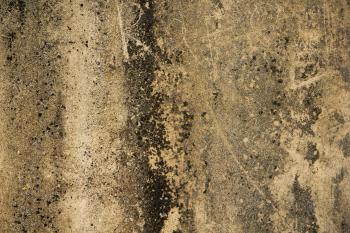 rough grunge texture chipped scratched stone wall old growing brown ...