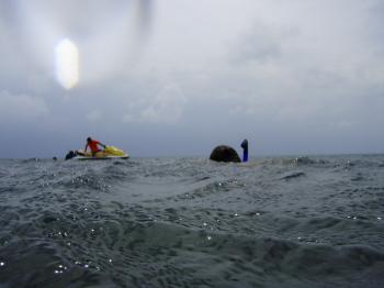 Scuba divers surfacing