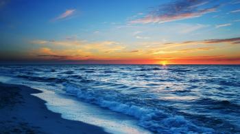The Treacherous Sea | Sign of the Rose