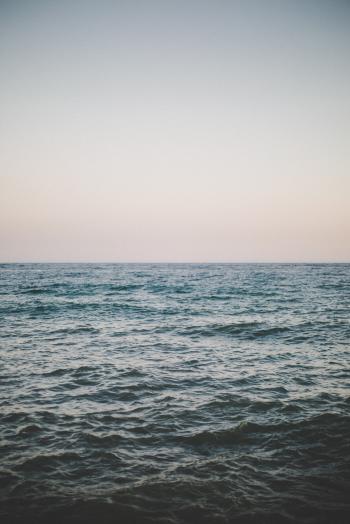 Wilder Land & Sea