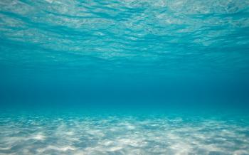 Ocean Intrigued images Bottom of the Sea Wallpaper HD wallpaper and ...
