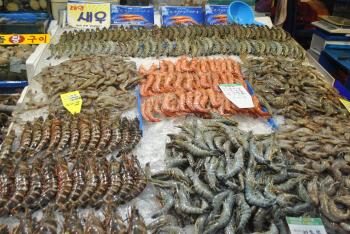 Noryangjin Fish Market (Seoul, South Korea) | marjorierwilliams.com