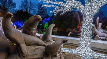 Sea Lion Statues