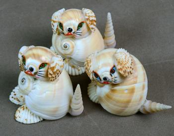 Indian Vintage Natural Sea Shells Small Puppies Dogs Shell | BSC ...