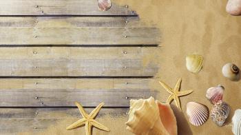 Beach: Boardwalk Boards Seashells Shells Star Fish Summer Sand Warm ...