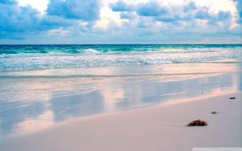 Seashore Background 790445 - WallDevil