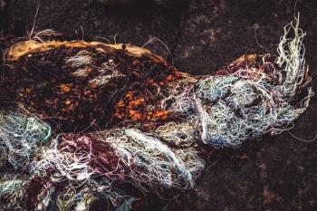 Seaweed in Fishnet Texture