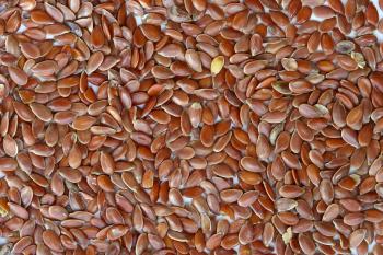 Seed - Wikipedia