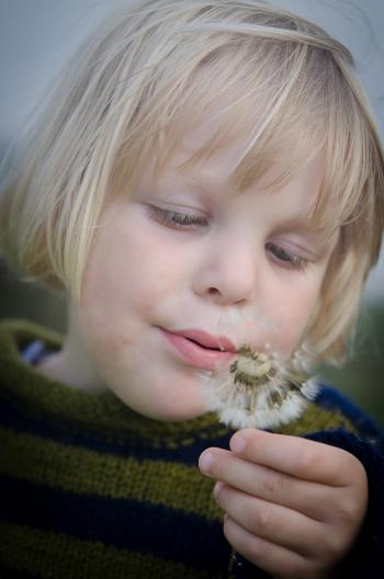 Selective Focus Photography of Girl in Green and Black Striped Sweater Holding and Blowing Dandelion