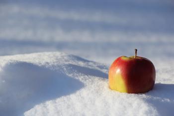 Selective Focus Photography of Red Apple on Snow