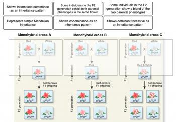 Solved: Match The Descriptions With The Correct Pattern Of ...