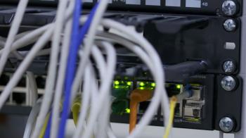 Network cables connected to switch in server room at the data centre ...