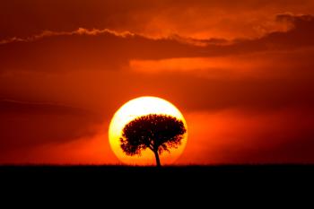 The setting sun over the plains of Maasai Mara, Kenya : pics