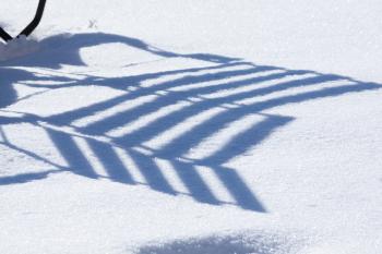 Shadow on the Snow