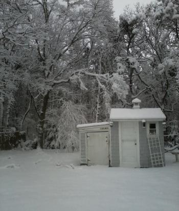 Shed in Snow