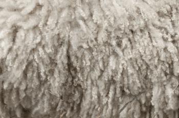 Facts about wool for wool week | Technical textiles, Fabrics and ...