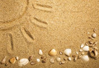 sand texture beach marine seashells shell sand HD wallpaper