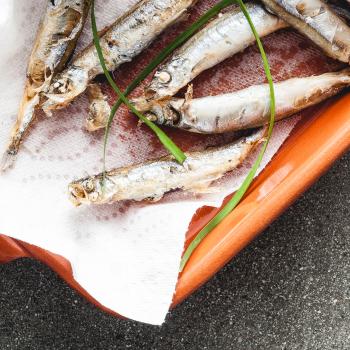 Deep fried shishamo - that Other Cooking Blog