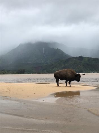 Home destroyed, highway closed, North Shore flooded - The Garden Island