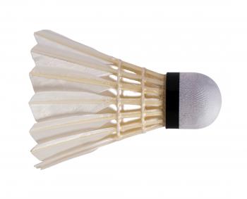 Li-Ning® | Shuttlecock | Badminton Shuttles | A+70 Single [77]