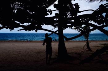 Silhouette Of Man Beside Tree Near Seashore