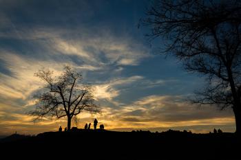 Silhouette of Person Near Bare Tree at Sunset