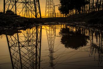 Silhouette of Trees and Electric Tower Reflecting on Body of Water during Sunset