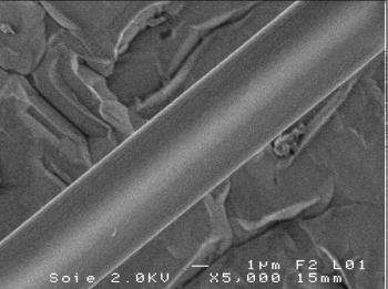 Eco-friendly optics: Spider silk's talents harnessed for use in ...
