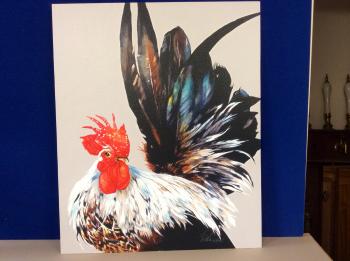 Resting on Silky Feathers by Paula Vize | Farm yard!!! | Pinterest ...