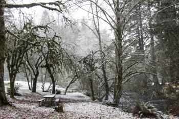 Silver Creek Park, Snow in the Cascades, Oregon
