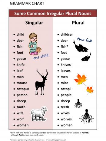 Forum | . | Fluent LandSome Common Irregular Plural Nouns | Fluent ...