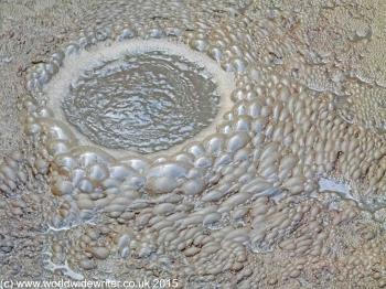 Rotarua and the Springs that Shaped the Landscape