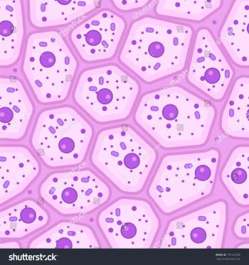 Epithelial Seamless Pattern Stock Vector Illustration Stock Vector ...