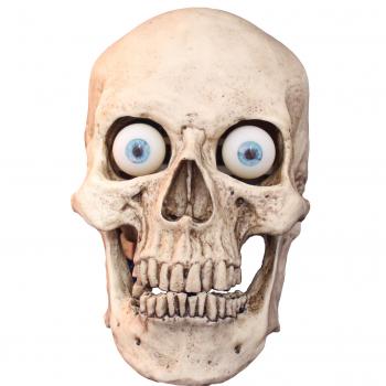 Talking Skulls - Animated Props - Props - FrightProps.com