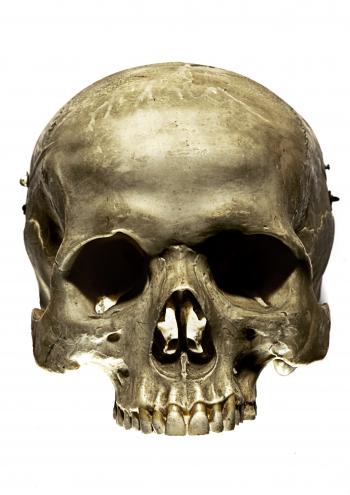 Skull by TheManface on DeviantArt