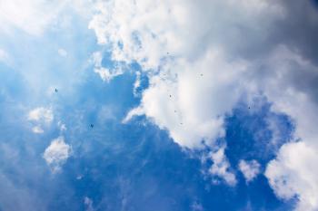 skydivers in blue sky