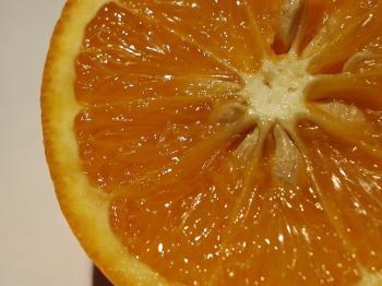 Free picture: sliced, juicy, orange, fruit