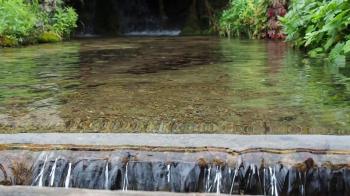 Garden pond, clean waterfall with green plants. Transparent water ...