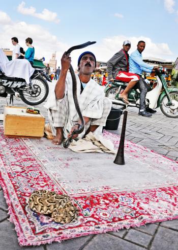 Snake Charmer in morocco