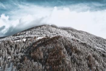 Snow-covered Mountain and Forest