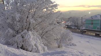 Snow covered trees and road with passing cars in the winter the city ...