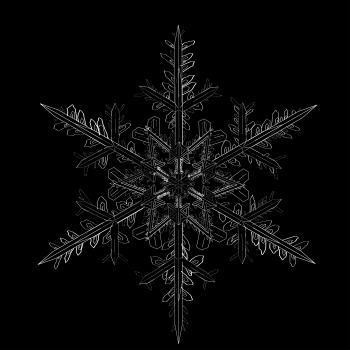 Animated snowflakes help tell the story of their creation - UAF News ...