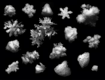 Snowflakes