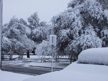Let it Snow… in Texas!
