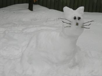 A Message from Snow Kitty – Kmareka.com